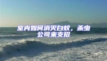 室內如何消滅白蟻,殺蟲公司來支招