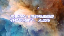 密集慎入!攝影師赤腳吸引數(shù)百只蚊子:太恐怖