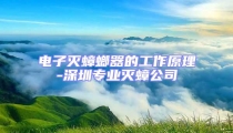 電子滅蟑螂器的工作原理-深圳專業滅蟑公司