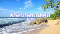 滅白蟻除白蟻白蟻的穿蛀能力