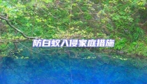 防白蟻入侵家庭措施