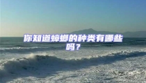 你知道蟑螂的種類有哪些嗎?