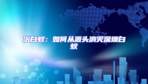 治白蟻:如何從源頭消滅深圳白蟻