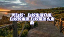滅白蟻:白蟻生活介紹,白蟻的來源,白蟻是怎么來的