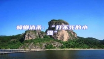 蟑螂消殺:“打不死的小強(qiáng)”