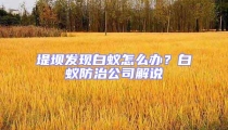 堤壩發(fā)現白蟻怎么辦?白蟻防治公司解說