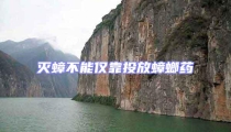 滅蟑不能僅靠投放蟑螂藥
