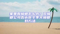家里有蟑螂怎么辦?滅蟑螂公司告訴你冬季滅蟑螂好方法