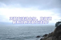 滅鼠方法這么多，你知道最有效的滅鼠方法嗎？