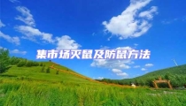 集市場滅鼠及防鼠方法