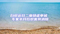 白蟻近日二度肆虐申城 專家半月后蟻害將消除