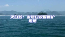 滅白蟻:發現白蟻要保護現場