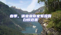 春季,請查查你家有沒有白蟻危害
