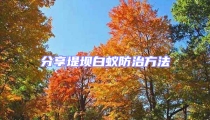 分享堤壩白蟻防治方法