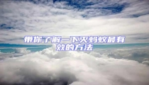 帶你了解一下滅螞蟻最有效的方法