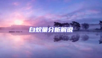 白蟻巢分析解說