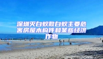 深圳滅白蟻散白蟻主要危害房屋木構件和某些經濟作物