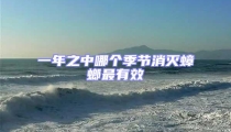一年之中哪個季節(jié)消滅蟑螂最有效
