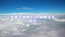 專業滅蟑螂公司,蟑螂怎么消滅