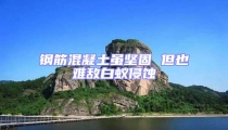 鋼筋混凝土雖堅(jiān)固 但也難敵白蟻侵蝕