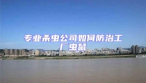 專業殺蟲公司如何防治工廠蟲鼠