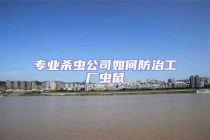 專業(yè)殺蟲(chóng)公司如何防治工廠蟲(chóng)鼠