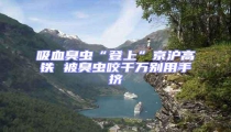 吸血臭蟲“登上”京滬高鐵 被臭蟲咬千萬別用手擠