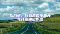 治白蟻:白蟻趁著濕熱天氣開始四出作惡