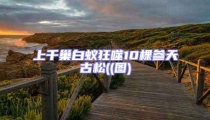 上千巢白蟻狂噬10棵參天古松((圖)