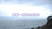 蟑螂一般怎么去除?