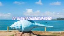 什么藥可以徹底殺蟑螂