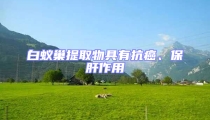 白蟻巢提取物具有抗癌、保肝作用