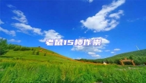 老鼠15樓作祟