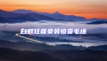白蟻狂噬豪裝慘變毛坯