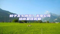 蚊子怎么消滅?殺蟲公司給您最佳答復