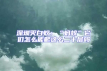 深圳滅白蟻：“螞蟻”它們怎么能爬這么二十層嗎