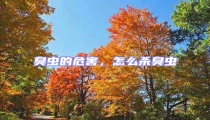 臭蟲的危害,怎么殺臭蟲