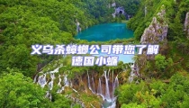 義烏殺蟑螂公司帶您了解德國小蠊