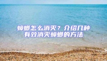 蟑螂怎么消滅?介紹幾種有效消滅蟑螂的方法