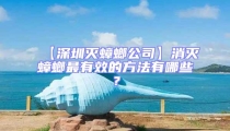 【深圳滅蟑螂公司】消滅蟑螂最有效的方法有哪些?