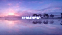 螞蟻的防治
