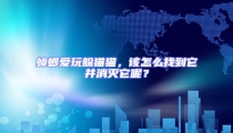 蟑螂愛玩躲貓貓,該怎么找到它并消滅它呢?