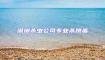 深圳殺蟲公司專業(yè)殺跳蚤