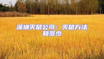 深圳滅鼠公司:滅鼠方法知多少