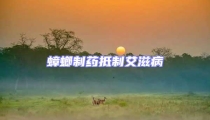 蟑螂制藥抵制艾滋病