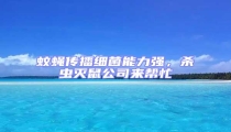 蚊蠅傳播細菌能力強,殺蟲滅鼠公司來幫忙