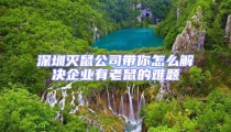 深圳滅鼠公司帶你怎么解決企業有老鼠的難題