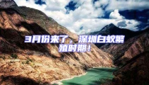 3月份來了,深圳白蟻繁殖時期!