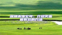 深圳殺蟲(chóng)公司:介紹滅蚤最有效的方法