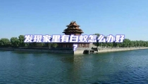 發現家里有白蟻怎么辦好?